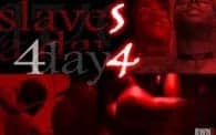 Slaves 4 a Day 4 (Copy)