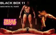 Black Box 11: Akecheta vs. Tiger