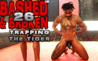 Bashed & Broken 26: Trapping Tiger